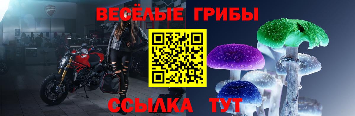 Псилоцибиновые грибы Cubensis Туймазы